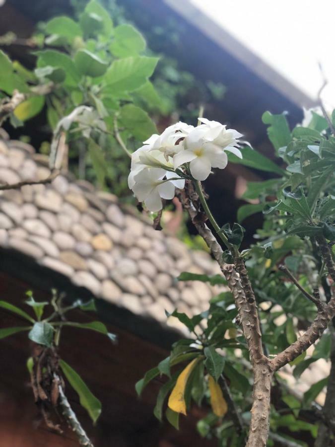 Melati Bali 2 호텔 캉구 외부 사진